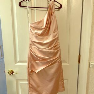 Blush knee length off shoulder blush dress